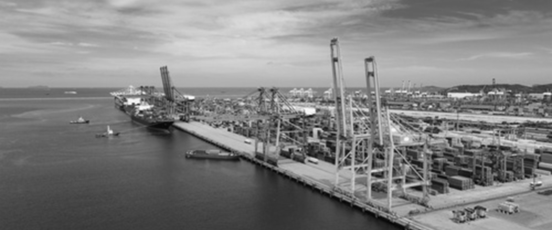 Eleven | Administração Judicial e Recuperação de Empresas