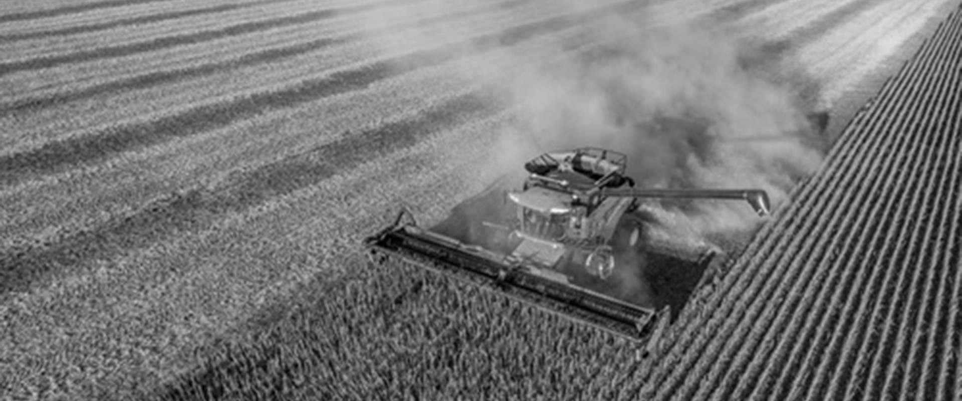 Eleven | Administração Judicial e Recuperação de Empresas